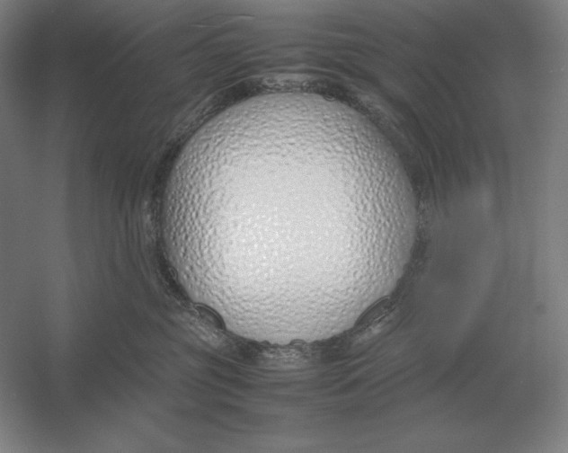 X0000054390381200508270040