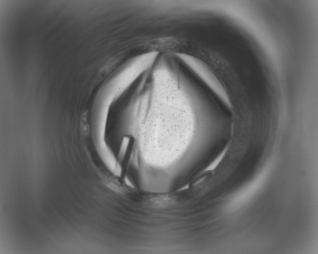 X0000054390383200508270040