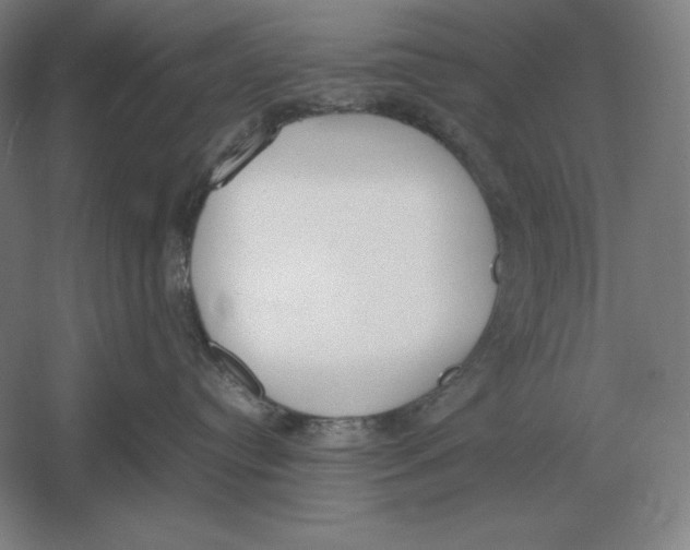 X0000054390384200508270040