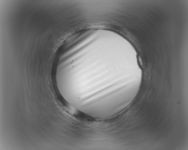 X0000054390385200508270039