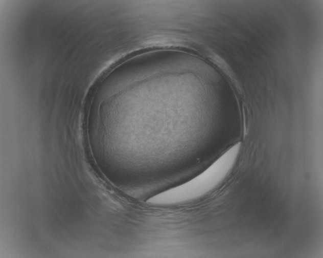 X0000054390387200508270039