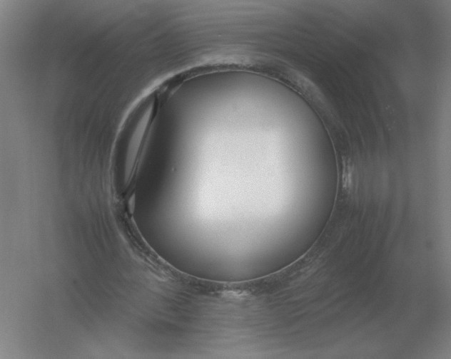 X0000054390388200508270039