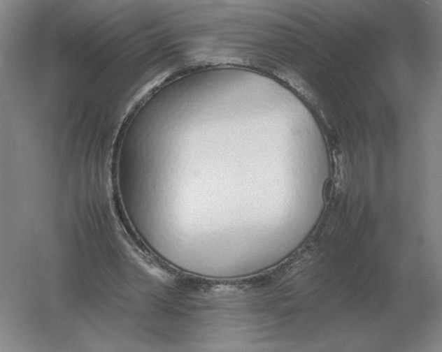 X0000054390390200508270039