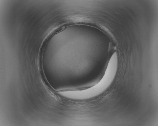 X0000054390391200508270039