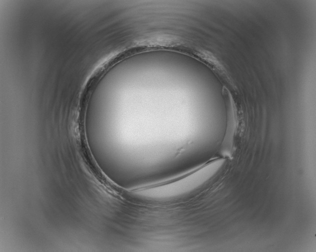 X0000054390392200508270039