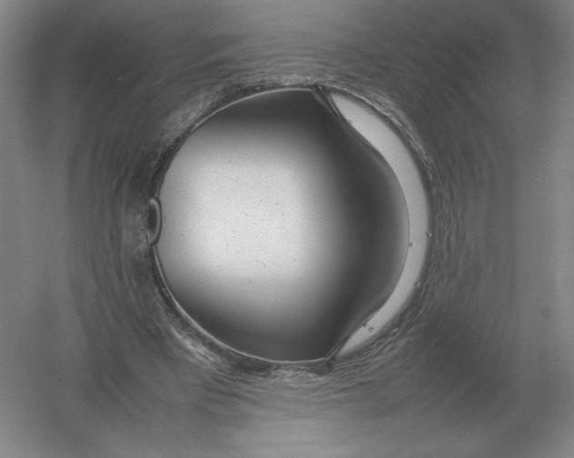 X0000054390393200508270039