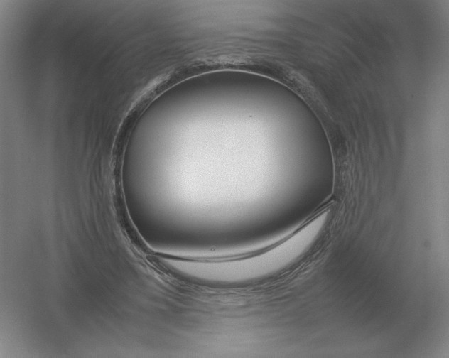 X0000054390395200508270039
