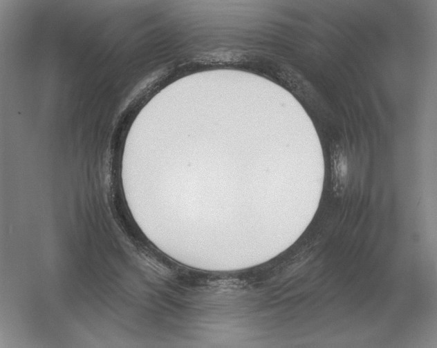 X0000054390396200508270039