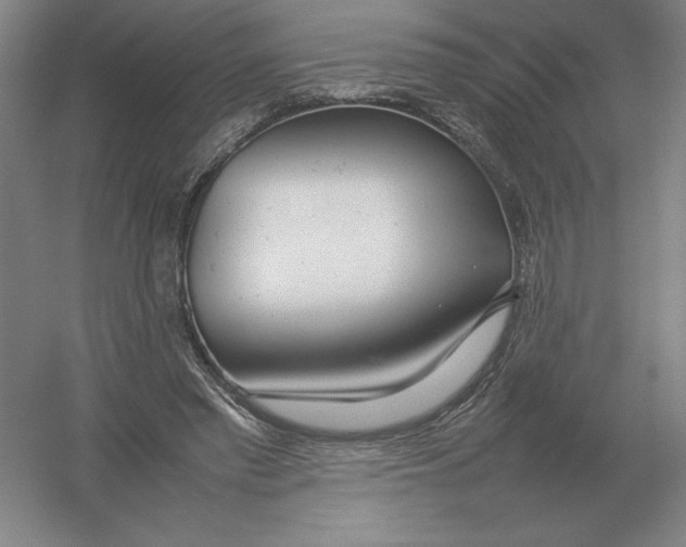X0000054390397200508270039
