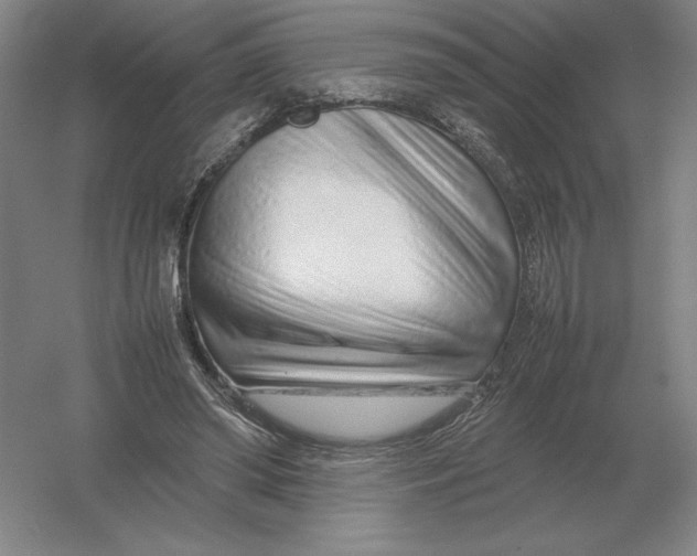 X0000054390398200508270039