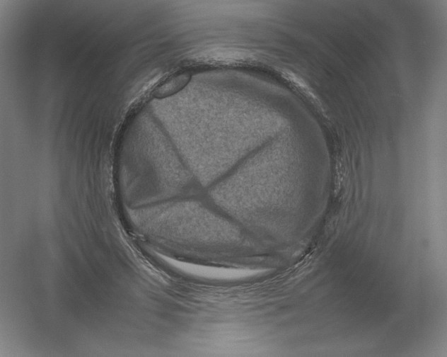 X0000054390399200508270039