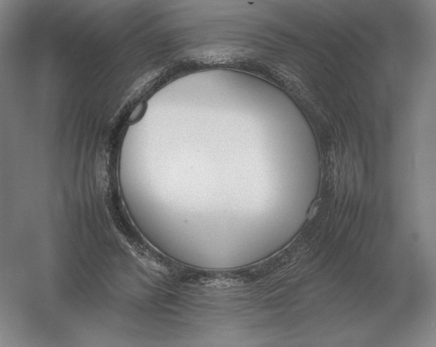 X0000054390400200508270039