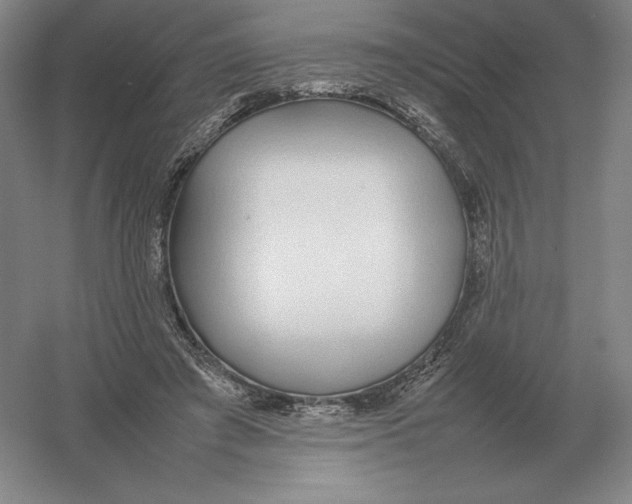 X0000054390401200508270039
