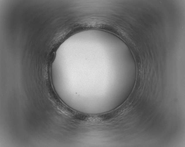 X0000054390403200508270039