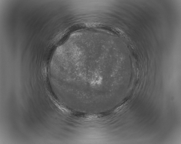 X0000054390405200508270039