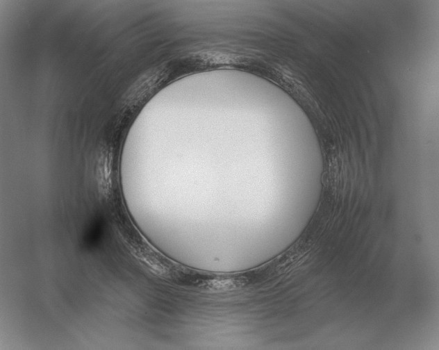 X0000054390406200508270039