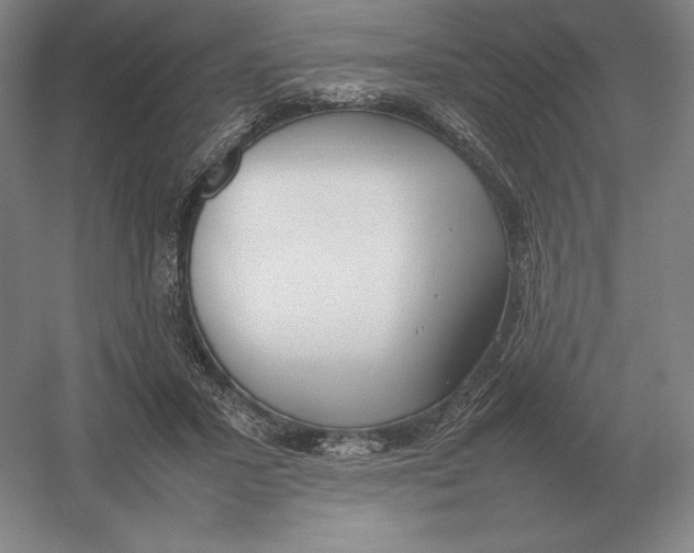 X0000054390407200508270039