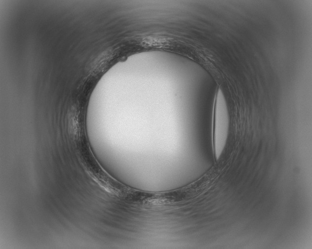 X0000054390408200508270039