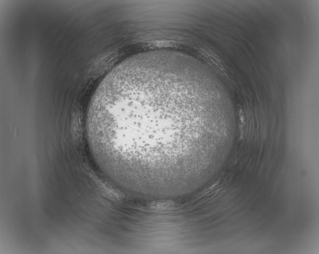X0000054390410200508270039