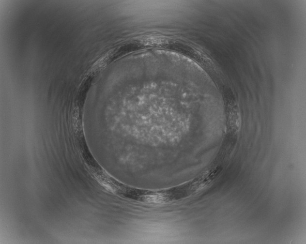 X0000054390411200508270039