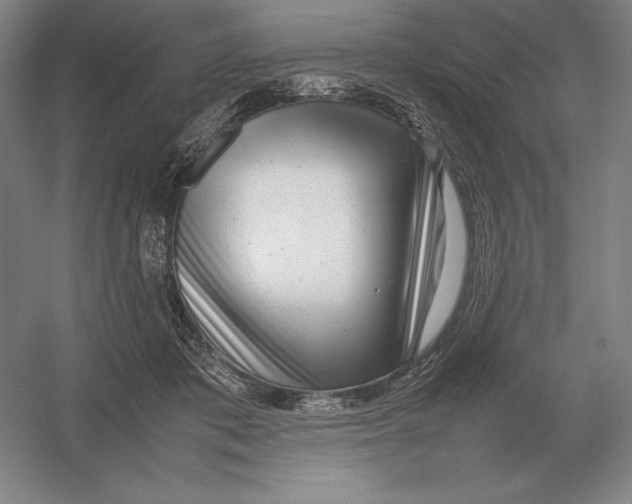 X0000054390413200508270039
