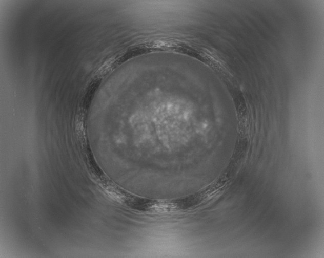 X0000054390415200508270039