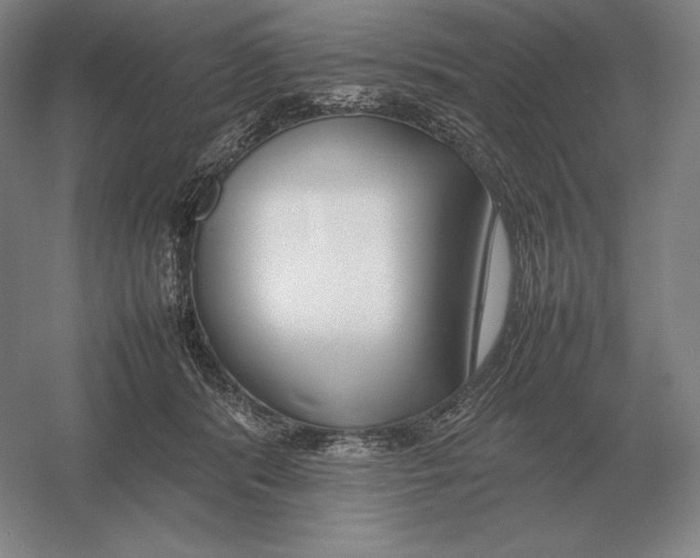 X0000054390416200508270039