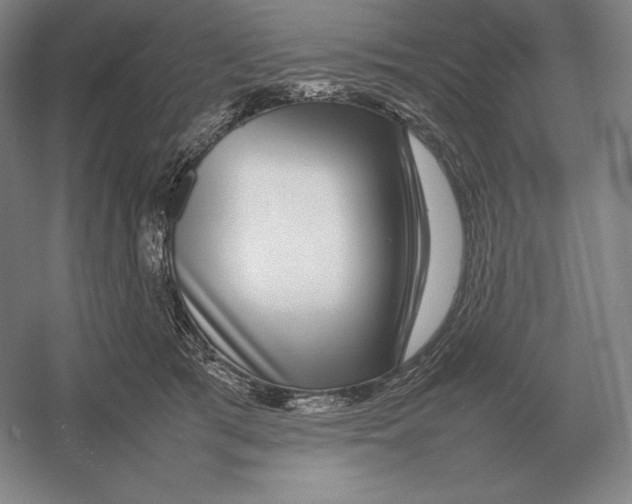 X0000054390417200508270039