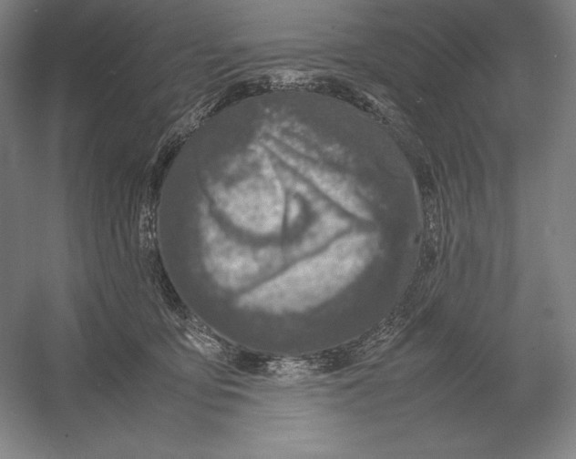 X0000054390419200508270039