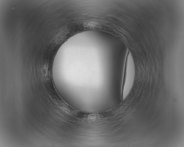 X0000054390420200508270039