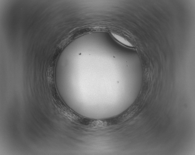 X0000054390421200508270039