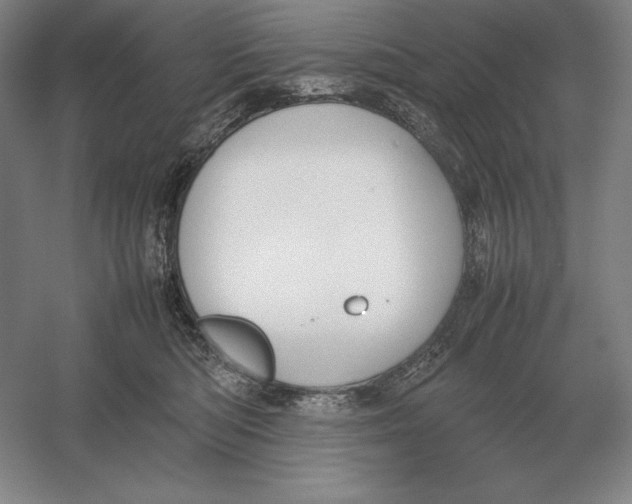 X0000054390422200508270039