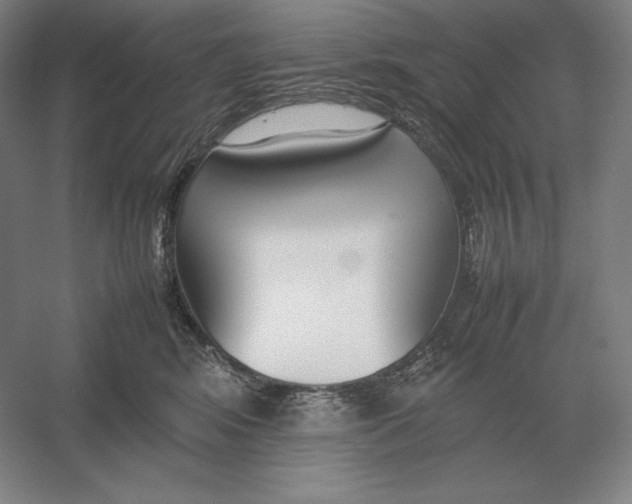 X0000054390424200508270039