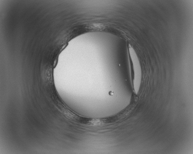 X0000054390425200508270039