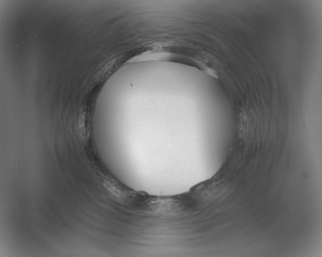 X0000054390428200508270039