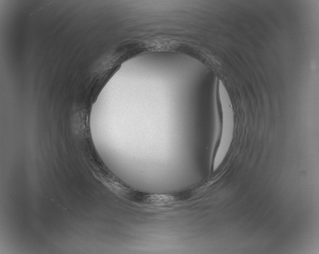 X0000054390429200508270039