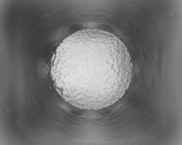 X0000054390431200508270039