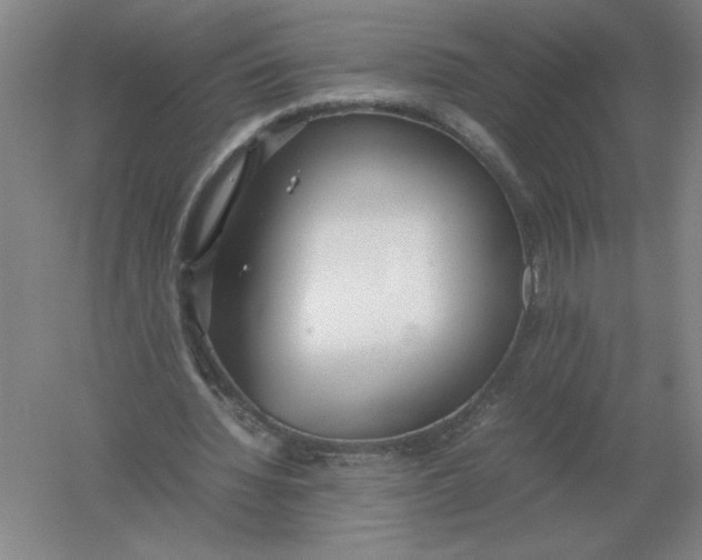 X0000054390436200508270038