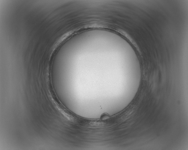 X0000054390437200508270038