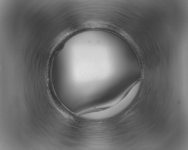 X0000054390438200508270038