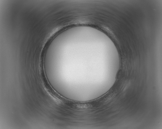 X0000054390439200508270038