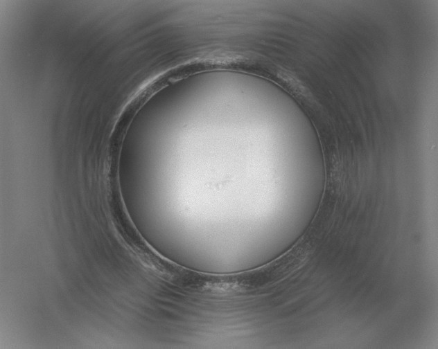 X0000054390440200508270038