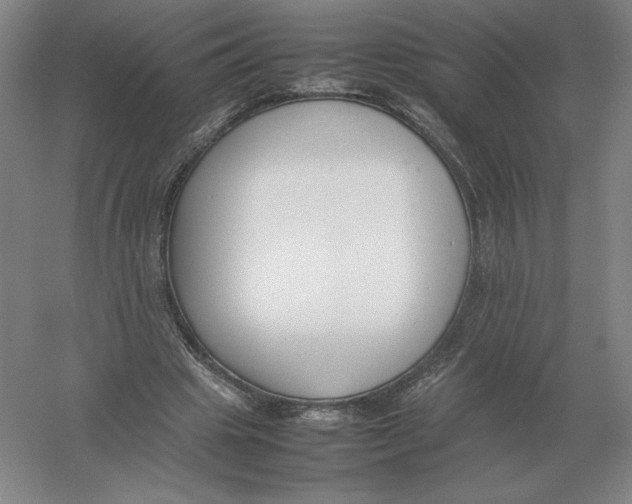 X0000054390441200508270038