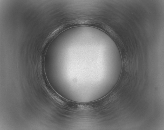 X0000054390442200508270038