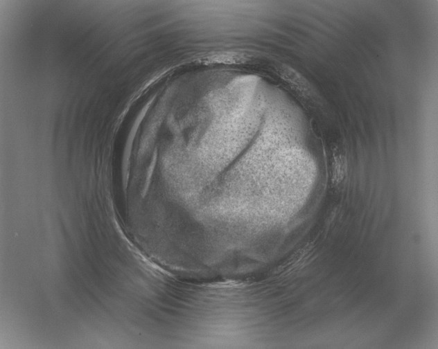 X0000054390444200508270038
