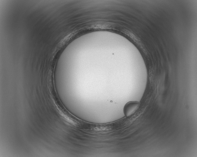 X0000054390445200508270038