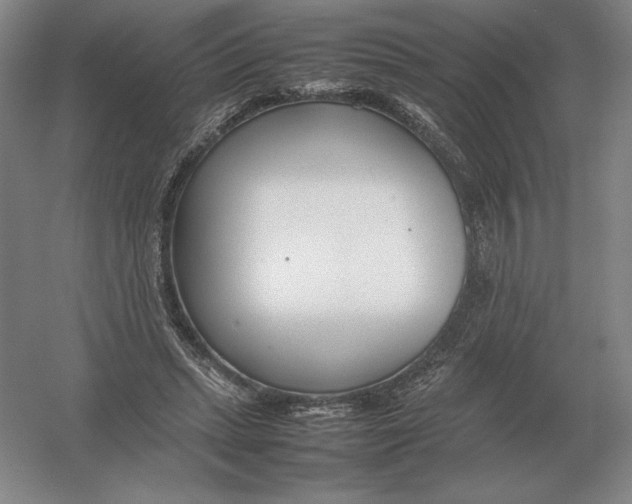 X0000054390447200508270038