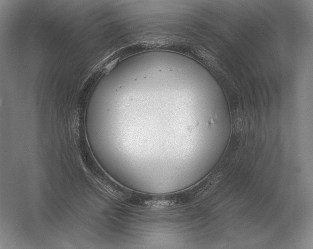 X0000054390448200508270038