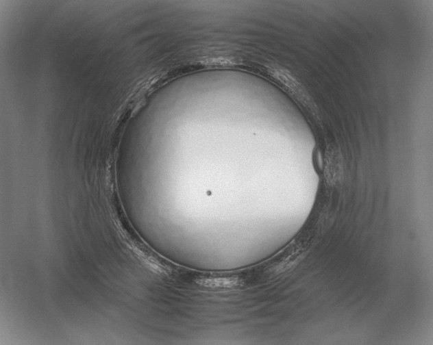 X0000054390449200508270038