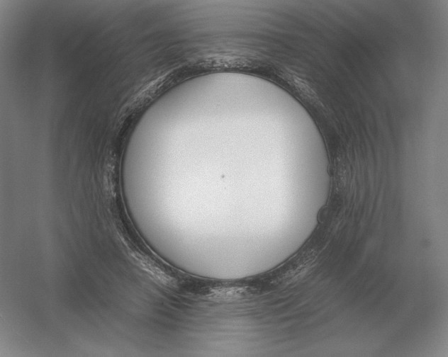 X0000054390450200508270038